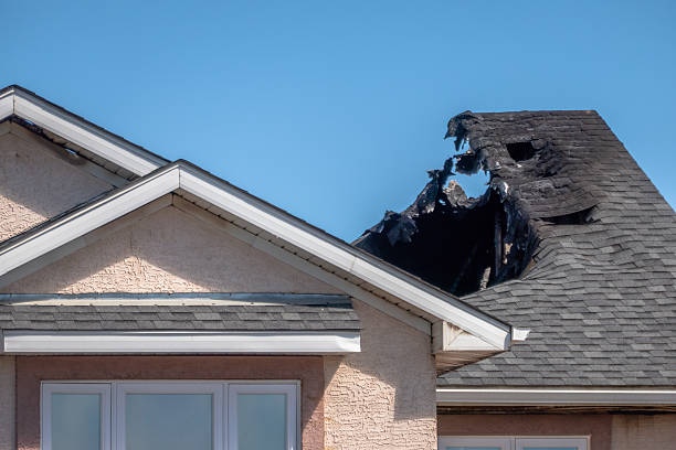 Top rated local Fire Damage Removal specialists in Dublin, VA